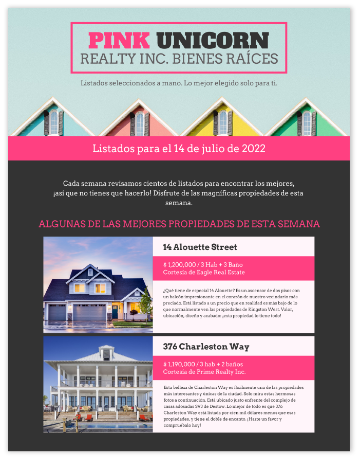 boletin informativo vengagge